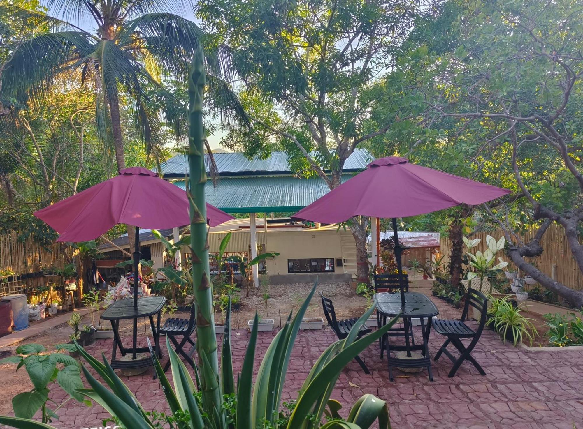 Ani Marie Guest House Coron Luaran gambar