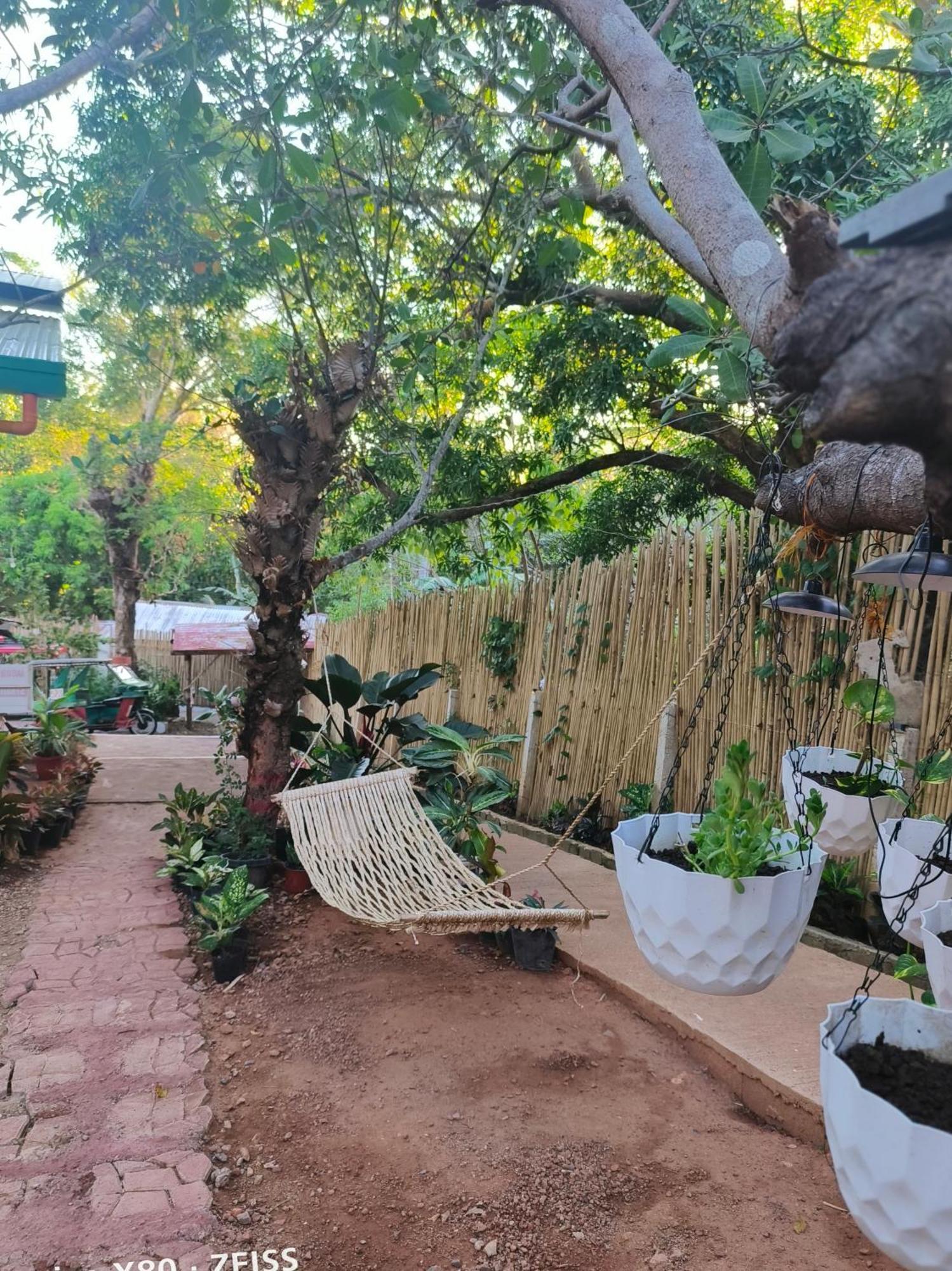 Ani Marie Guest House Coron Luaran gambar
